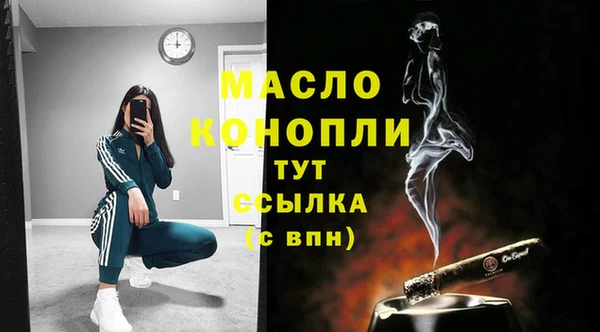 индика Зеленодольск