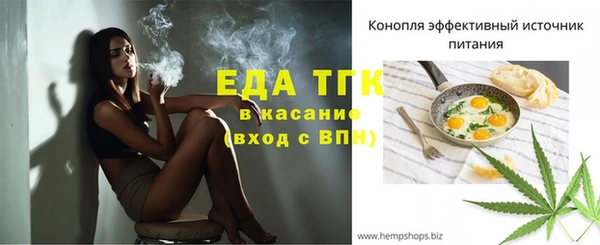 индика Зеленодольск