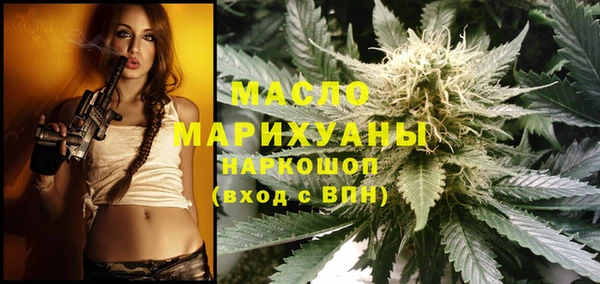 индика Зеленодольск