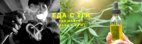 индика Зеленодольск