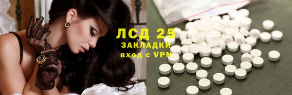 индика Зеленодольск