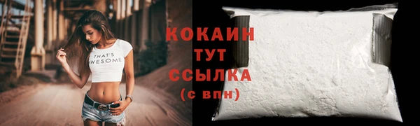 индика Зеленодольск