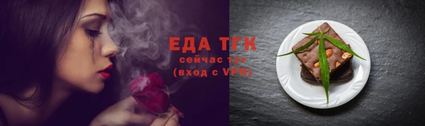 индика Зеленодольск
