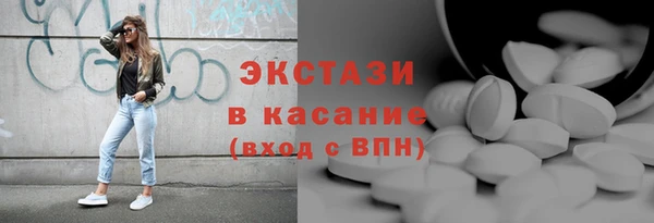 индика Зеленодольск