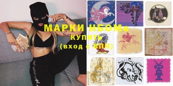 индика Зеленодольск