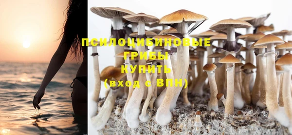 индика Зеленодольск