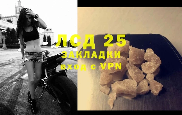 эйфоретик Зерноград