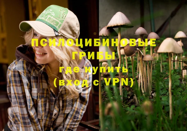 амф Зеленокумск
