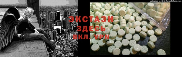 индика Зеленодольск