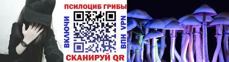 Купить закладки Омутнинск Галлюциногенные грибы Psilocybe